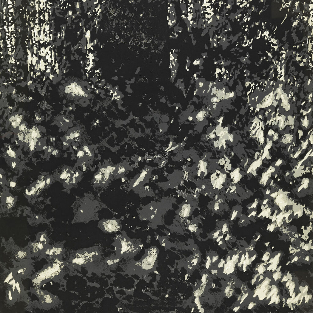 Segments lisière - Jana LOTTENBURGER