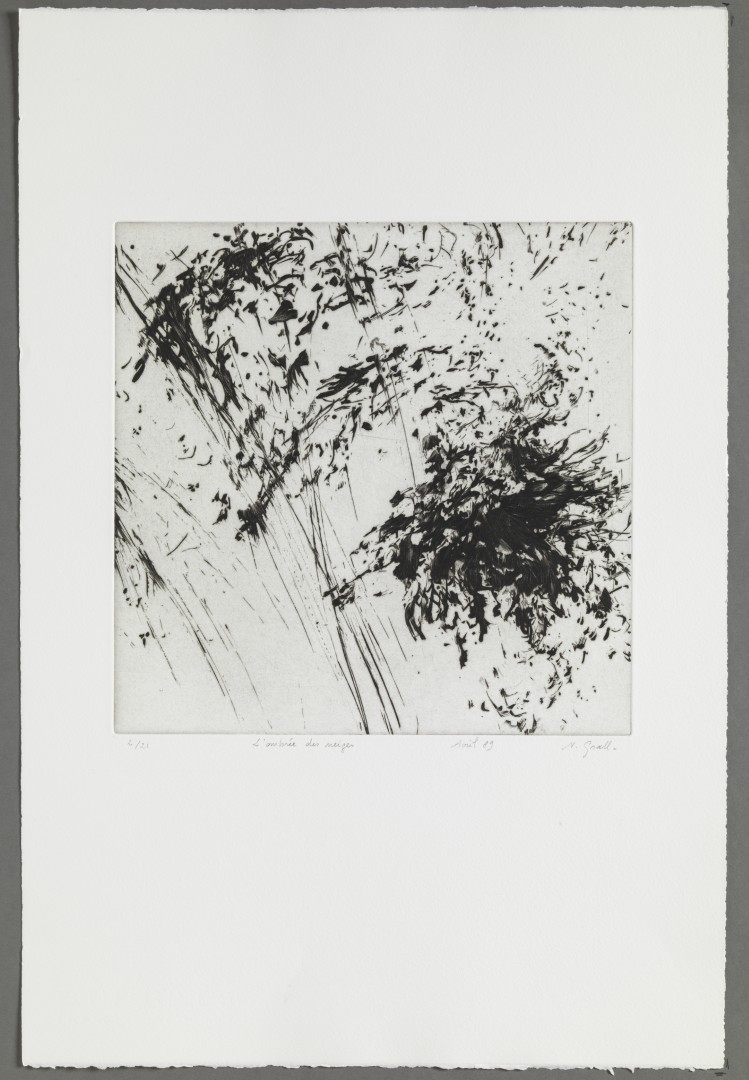 L’ombrée des neiges