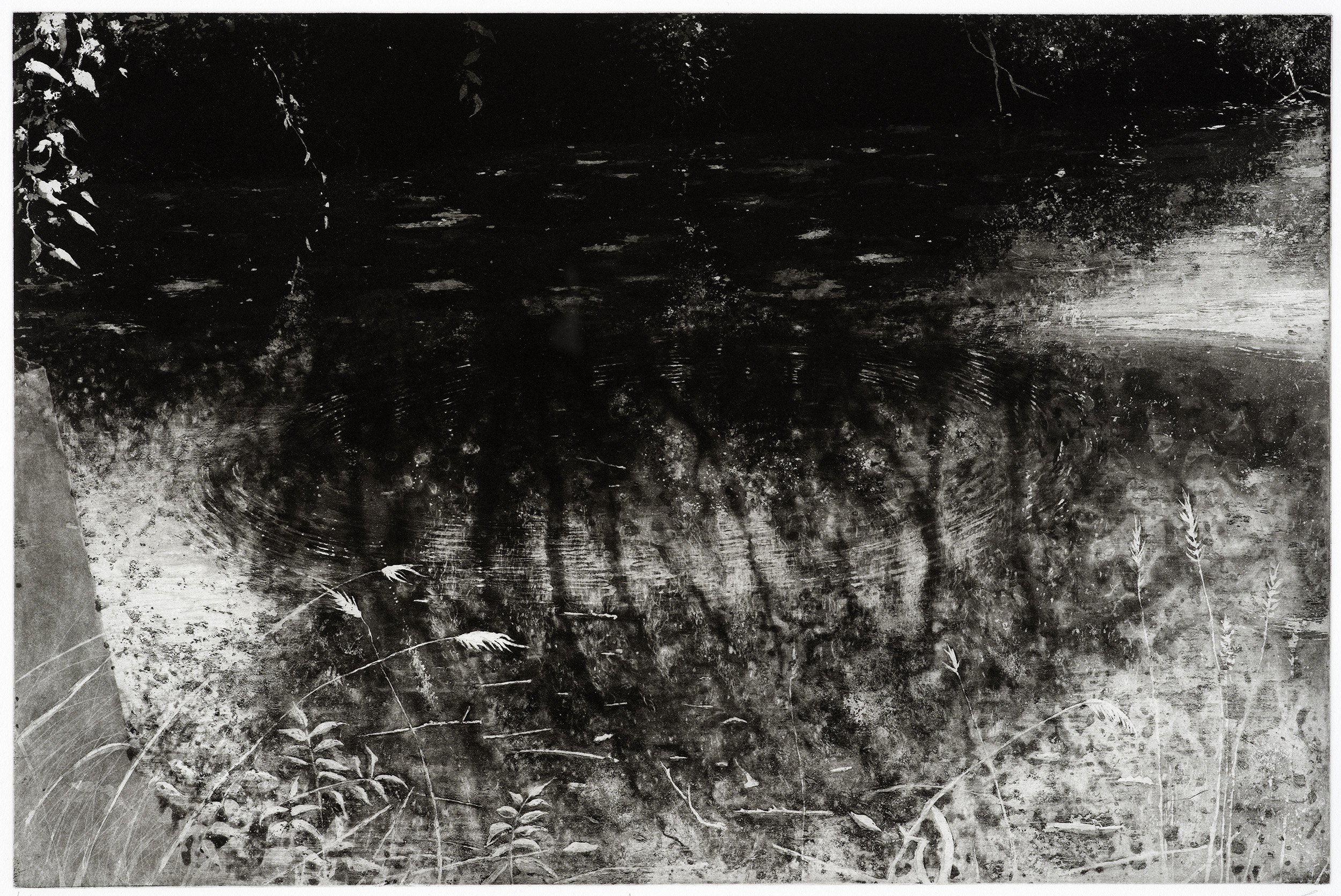 Wanderung den Werbeliner See