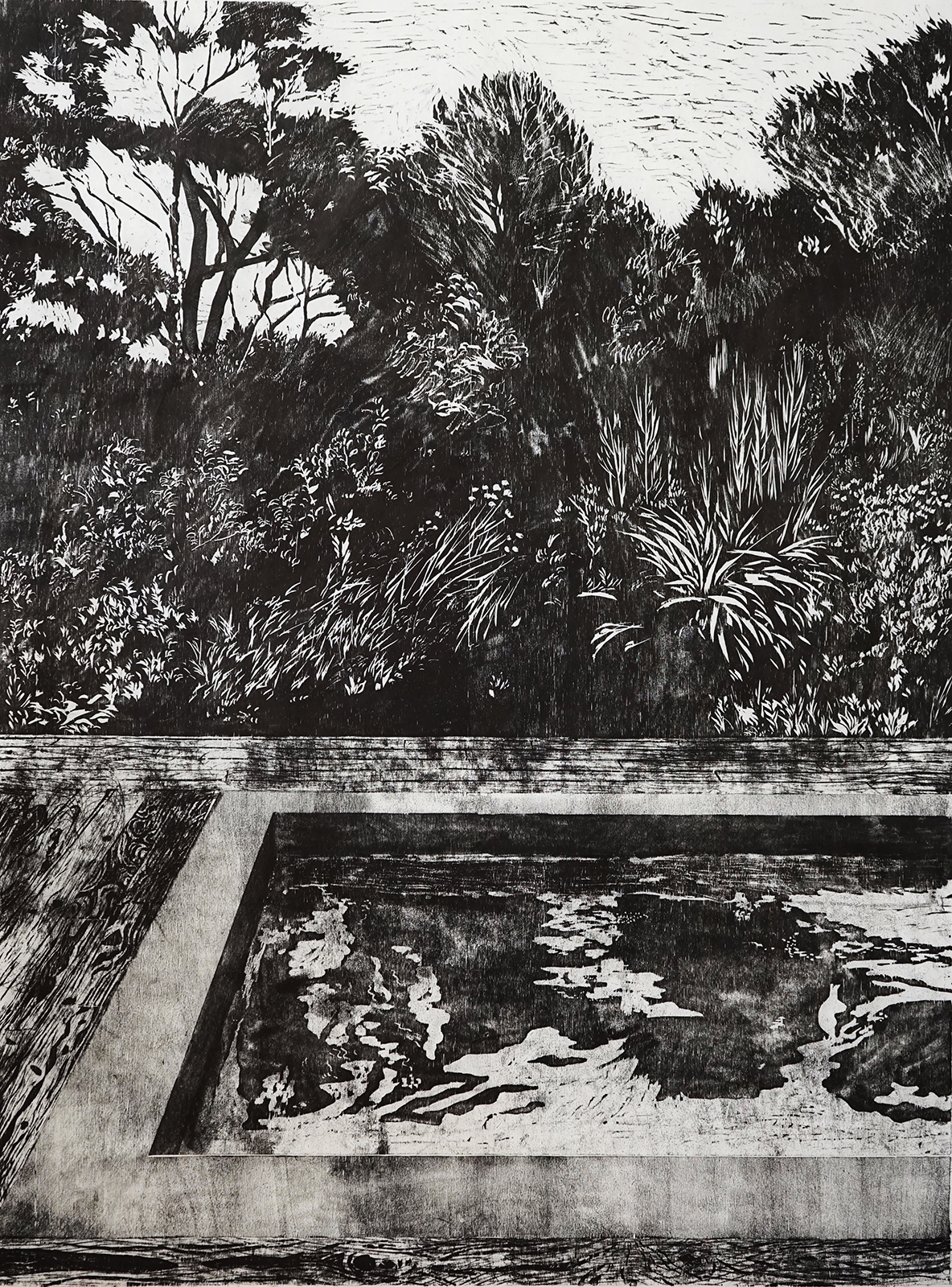 Piketty_swimming-pool Ours portant la nouvelle lune - Agnès DUBART